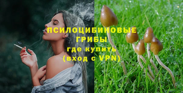 прущий лед Армянск